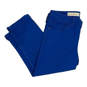0752 EUC Pilcro and the Letterpress ~ Anthropologie~ Blue pants 29~